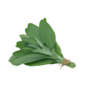 Salvia x paquete (100 g aprox)