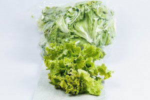 Lechuga crespa 1 KG