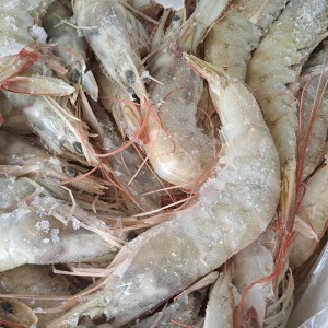 Langostino Entero Vannamei 80/100 - 2 Kg