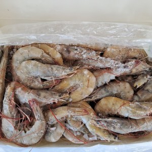 Langostino Entero Vannamei 20/30 - 2 Kg