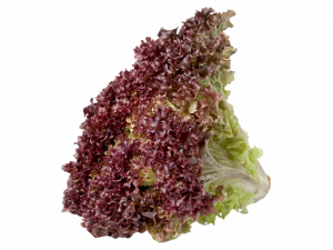 Lechuga morada 1 k