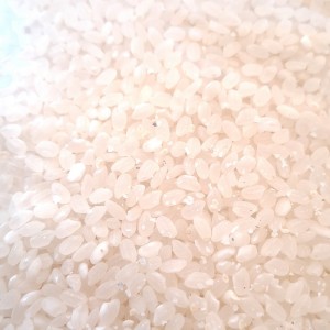 Arroz Para Sushi Hayate - 25 Kg